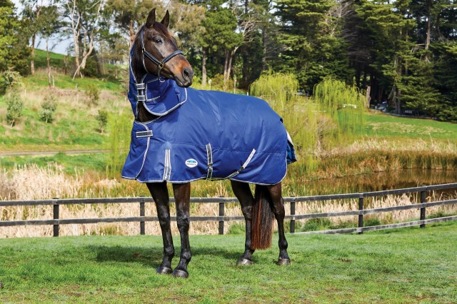 Weatherbeeta ComfiTec Premier Free II Turnout Detach Neck 220g Medium (Dark Blue)