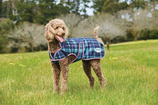 Weatherbeeta Comfitec Premier Free Parka Deluxe Dog Coat Medium Navy Light Blue Purple Plaid Wychanger Barton