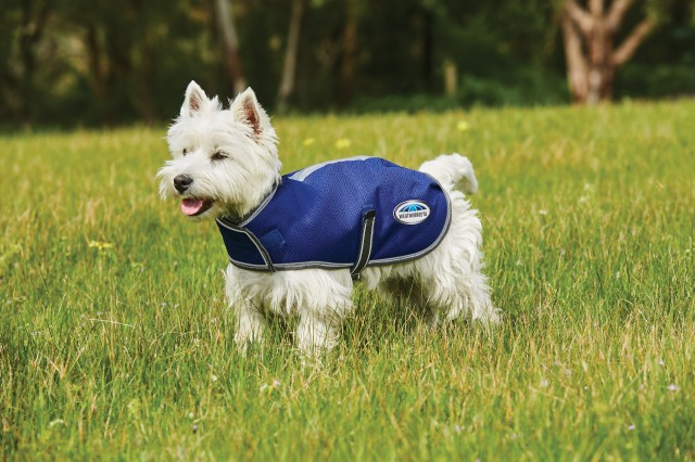 Weatherbeeta Comfitec Premier Free Parka Dog Coat Medium (Dark Blue/Grey/White)