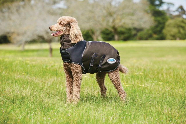 Weatherbeeta sales dog raincoat