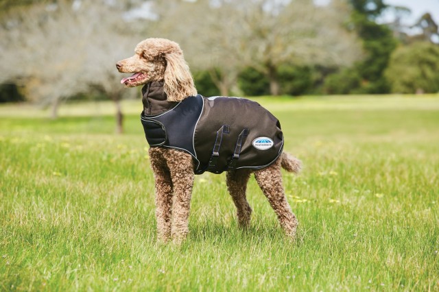 Weatherbeeta Comfitec Ultra Cozi Dog Coat Medium/Lite (Charcoal/Blue/White)