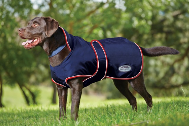 Weatherbeeta Comfitec Windbreaker 420d Deluxe Dog Coat (Navy/Red/White)