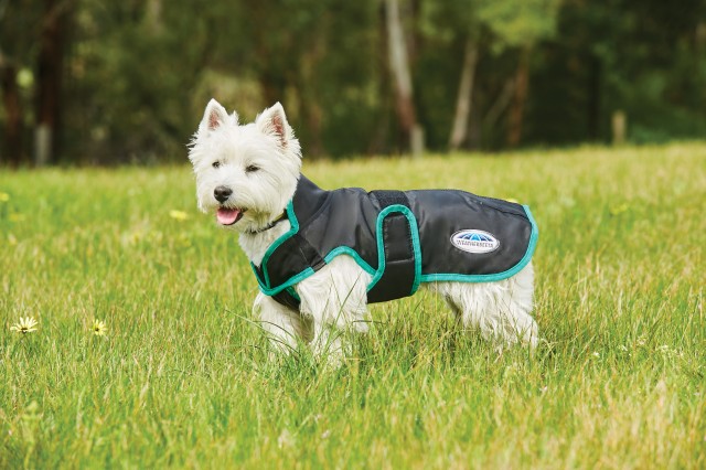 Weatherbeeta Comfitec Windbreaker Free Parka Deluxe Dog Coat (Black/Green)