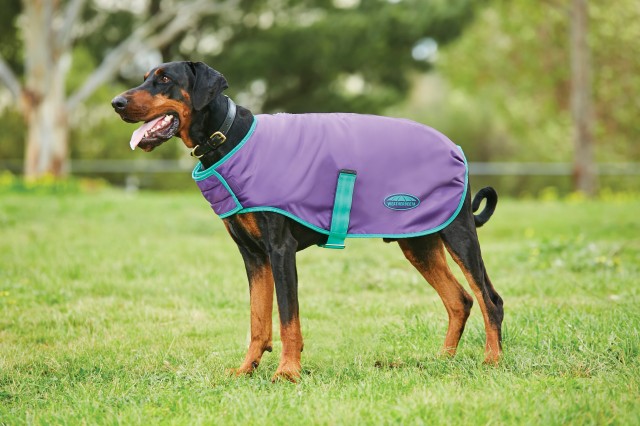 Weatherbeeta Comfitec Windbreaker Free Parka Dog Coat (Bright Purple/Green)
