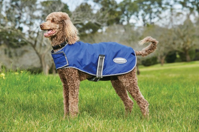 Weatherbeeta Comfitec Windbreaker Free Parka Dog Coat (Dark Blue/Grey/White)