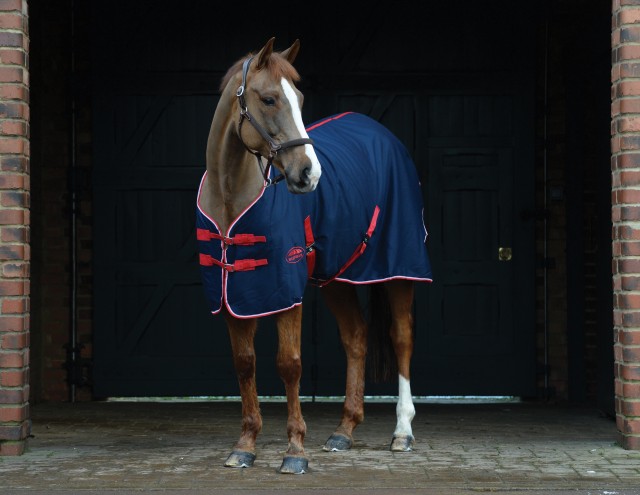 Weatherbeeta Cotton Sheet Standard Neck (Navy/Red/White)