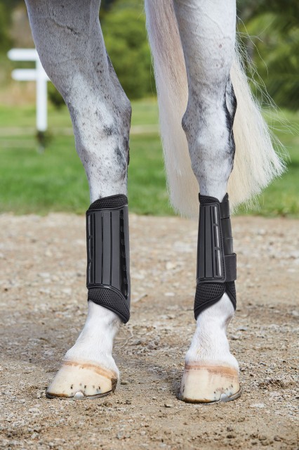 Weatherbeeta Eventing Hind Boots (Black)