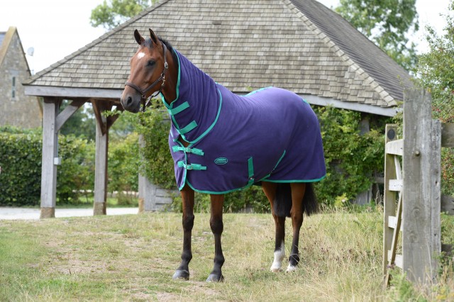 Weatherbeeta Fleece Cooler Combo (Bright Purple/Green)