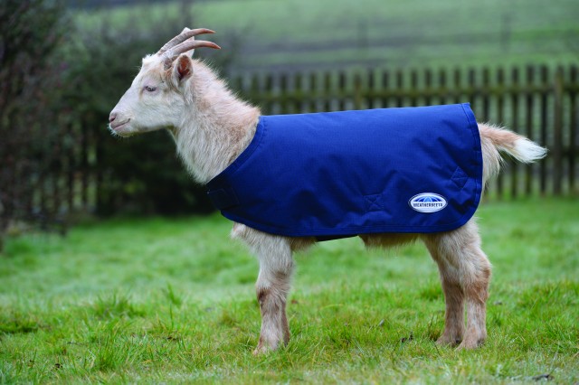 Weatherbeeta Goat Coat (Navy)