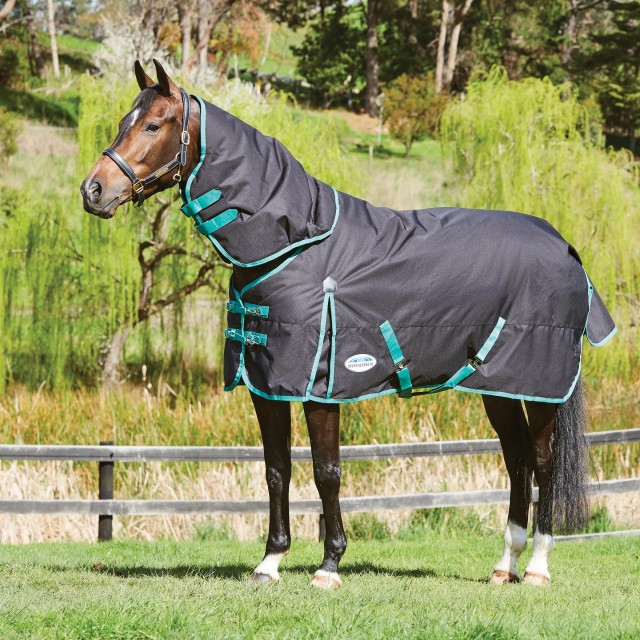 Weatherbeeta Green-Tec 900D Turnout Deatch Neck 50g Lite Plus (Black/Bottle Green)