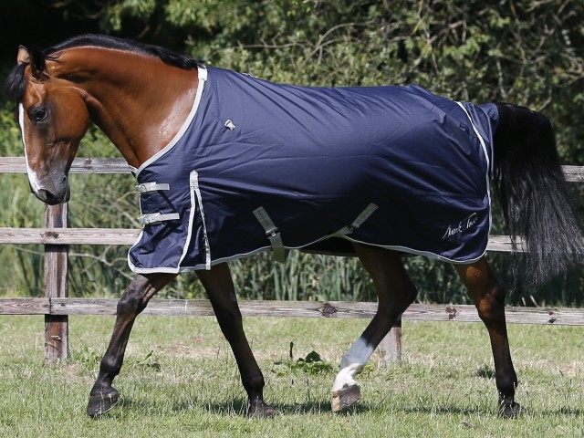 Mark Todd Autumner Turnout Rug (Ink & Grey)