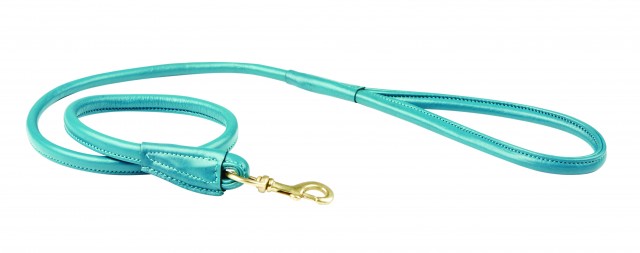 Weatherbeeta Rolled Leather Dog Lead (Teal)