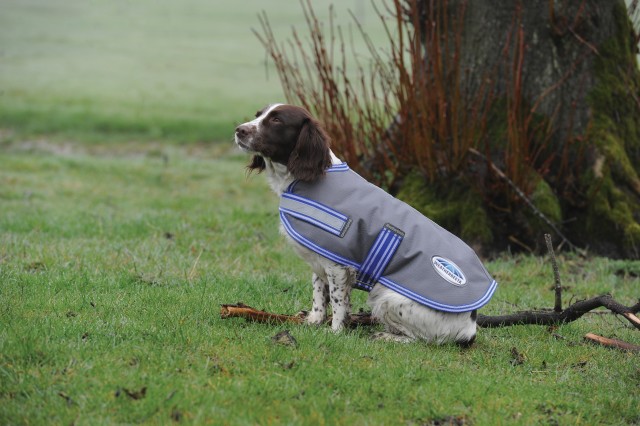 Weatherbeeta Thermi-Heat Dog Coat (Grey/Blue)