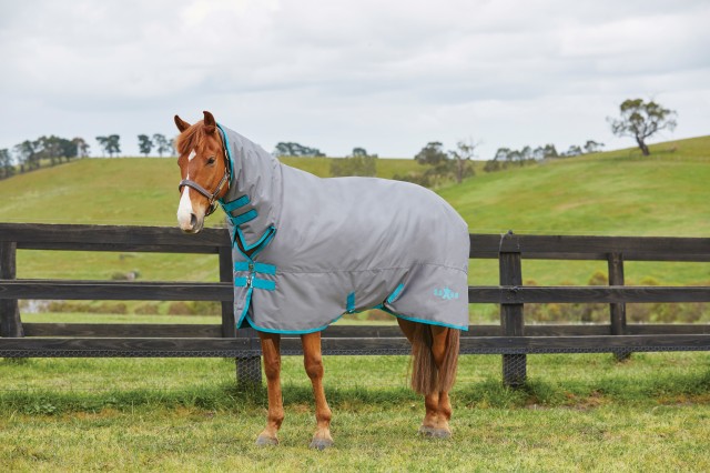 Saxon 600d Combo Heavy IV (Grey/Blue)