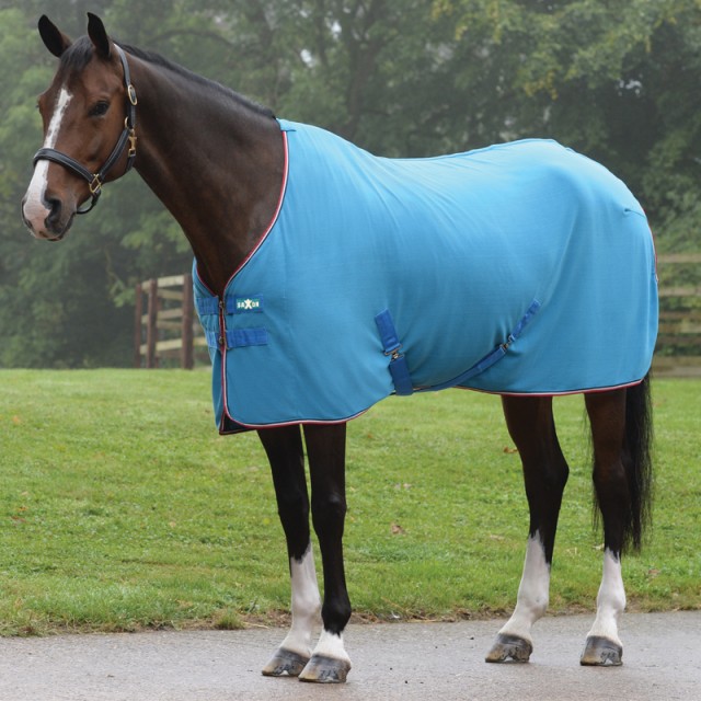 Saxon Coordinate Polar Fleece Standard Neck (Blue/Navy/Berry)