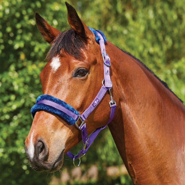 Saxon Element Fleece Headcollar (Purple/Navy)