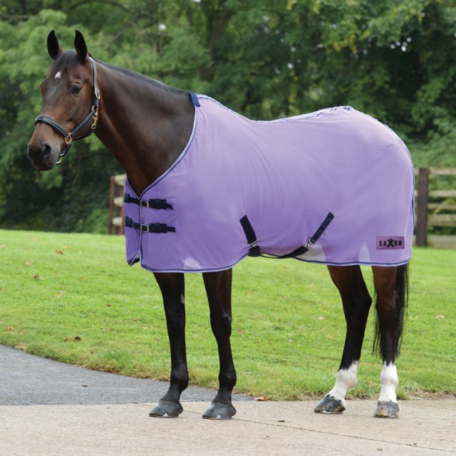 Saxon Element Net Cooler Standard Neck (Purple/Navy)