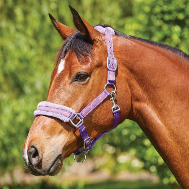 Saxon Fleece Lined Ribbon Headcollar (Purple/Purple)