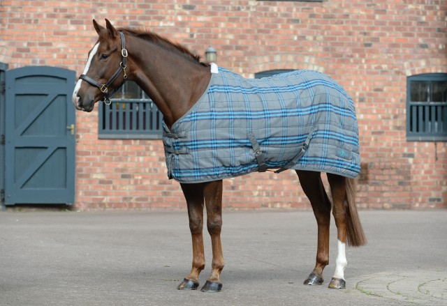 Saxon PP II - Stable Rug - Standard - Medium (Grey/Blue Plaid)