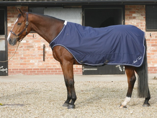 Mark Todd Horse Walker & Lunge Rug (Navy & White)