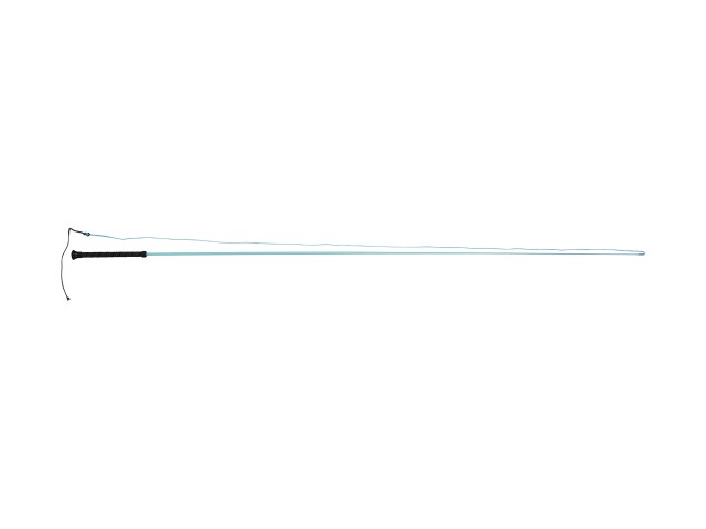 Dublin Brights Lunge Whip (Aqua)