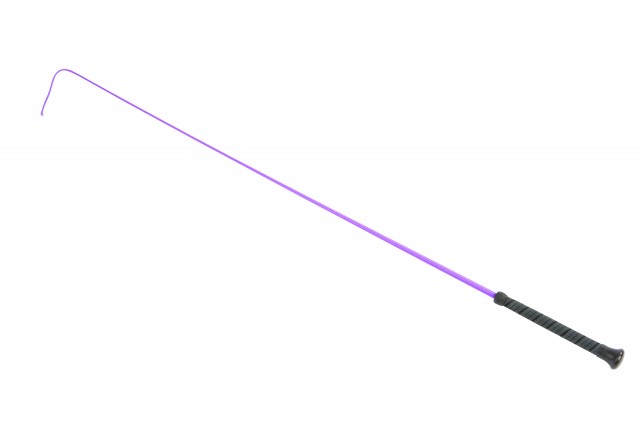 Dublin Dressage Whip (Purple)