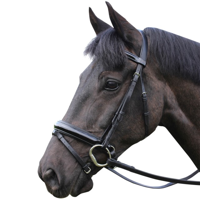 Mark Todd Patent Dressage Bridle (Black)