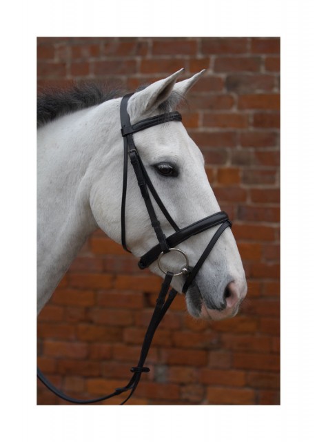 Hy Padded Flash Bridle with Rubber Grip Reins (Brown)