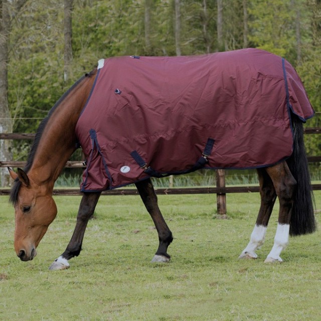 JHL (Clearance) Essential Mediumweight Turnout Rug (Burgundy & Navy)