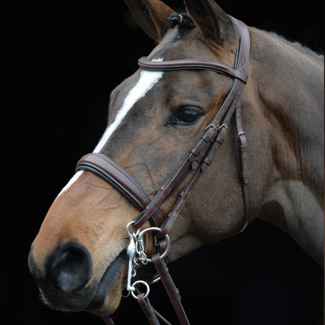 Collegiate Mono Crown Padded Raised Weymouth Bridle (Brown)