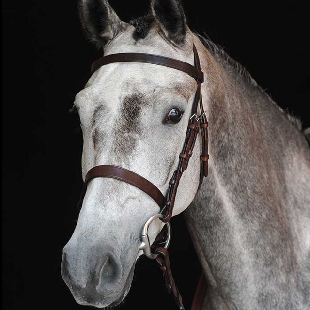 Collegiate Hunt Cavesson Bridle IV (Brown)