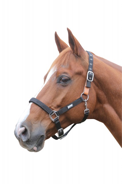 Roma Breakaway Headcollar II (Black)