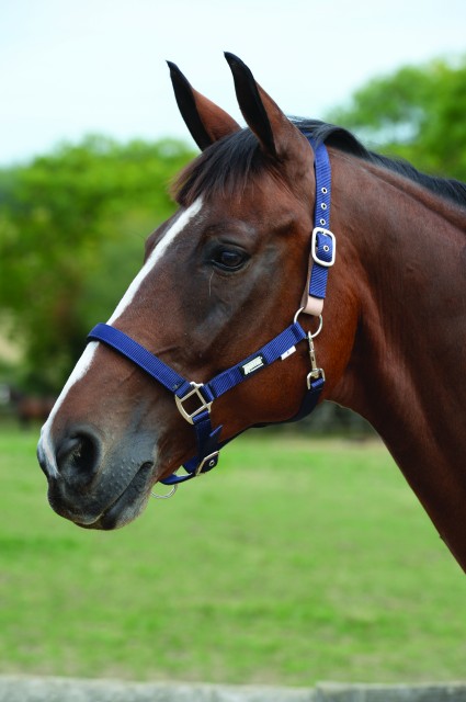 Roma Breakaway Headcollar II (Navy)