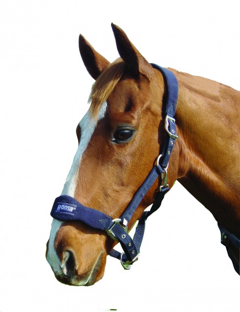 Roma Fleece Shaped Headcollar (Navy)