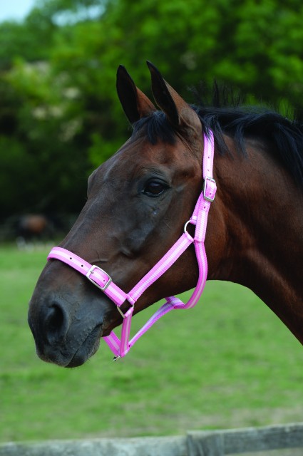 Roma Headcollar & Lead Set (Pink/Silver)