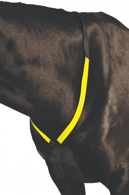 Roma Reflective Breastplate (Yellow)