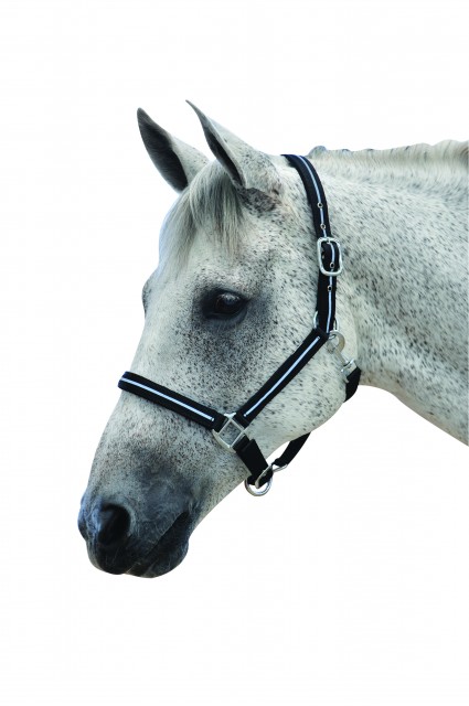 Roma Reflective Headcollar (Black)