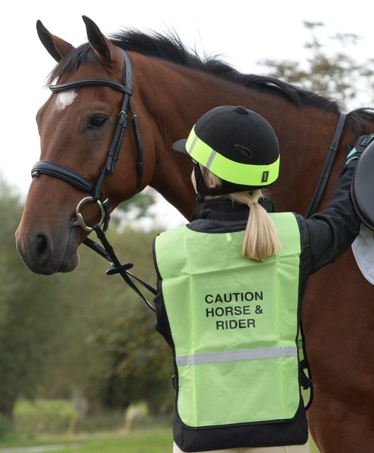 Roma Reflective Safety Vest (Yellow)