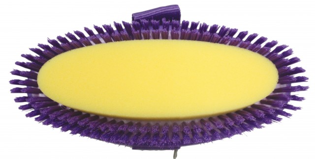 Roma Two Tone Sponge Brush (Pink/Purple)