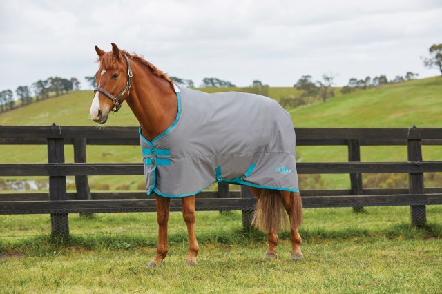 Saxon 600D IV Turnout - Standard - Medium (Grey/Blue)