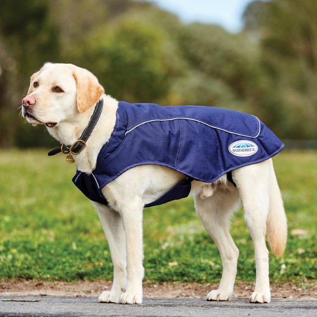 Weatherbeeta 1200D Exercise Dog Coat (Navy)