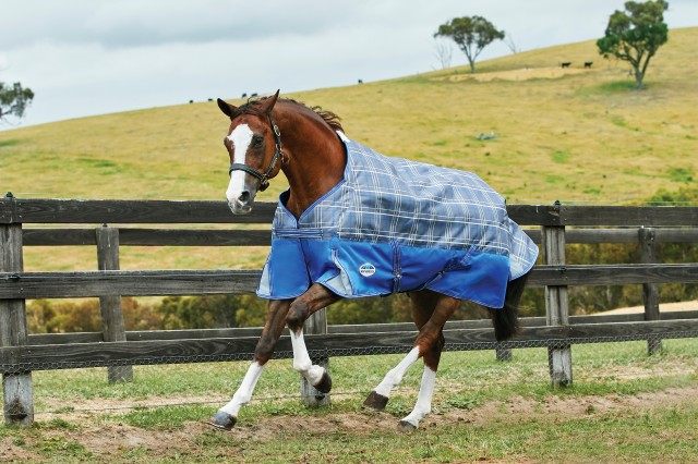 Weatherbeeta ComfiTec - Premier Free Turnout - Standard - Light (Grey Plaid)