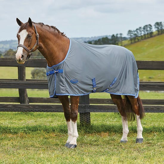 Weatherbeeta Ezi-Dri Cooler - Standard Neck (Grey/Blue) Size 5'6