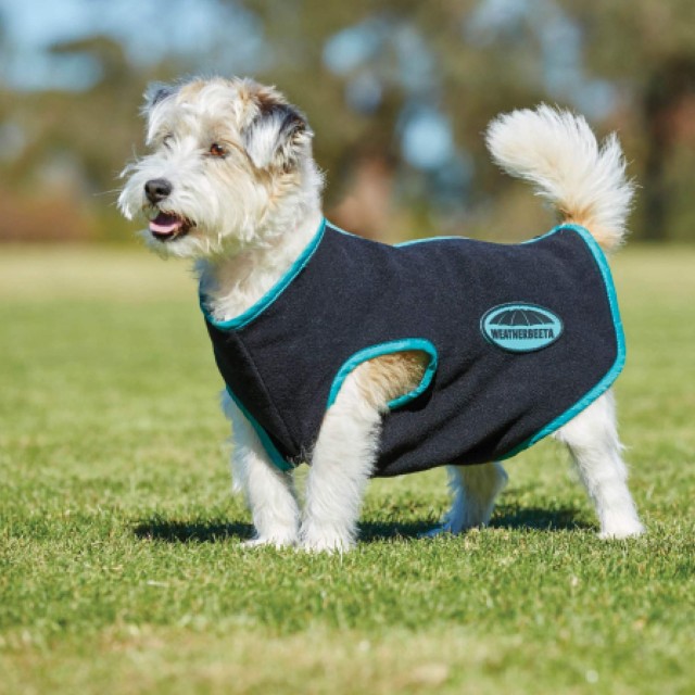 Weatherbeeta Fleece Zip Dog Coat (Black/Turquoise)