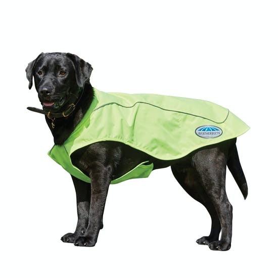 Weatherbeeta Reflective Exercise Dog Coat (Yellow) Wychanger Barton