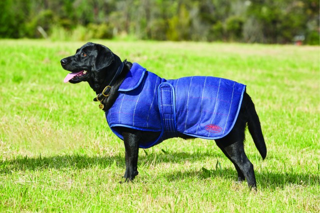 Weatherbeeta Tweed Dog Coat (Navy)
