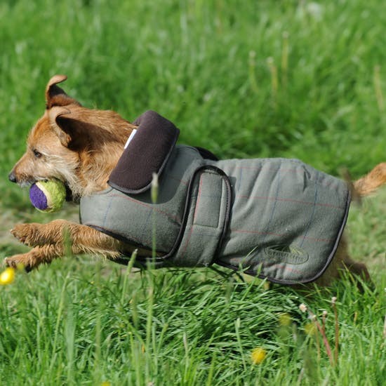 Weatherbeeta Tweed Dog Coat (Olive)