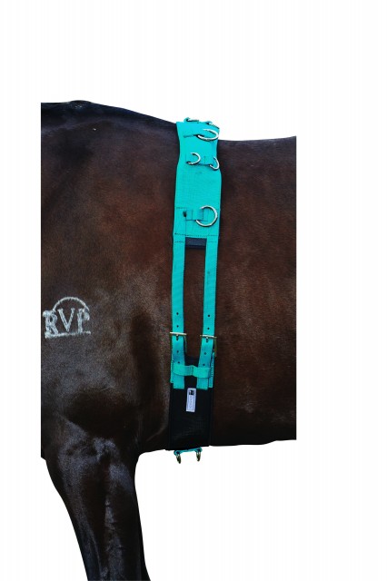 Kincade Brights Deluxe Equigrip Lunge Roller (Aqua)