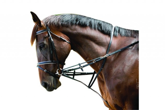 Kincade Webmarket Harborough/Germarn Martingale (Black)