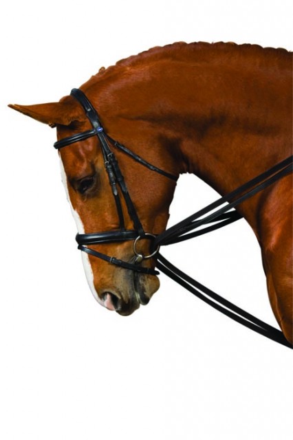 Kincade Web Draw Reins (Black)